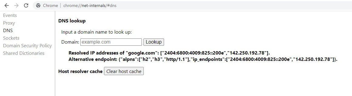 DNS lookup in Google Chrome